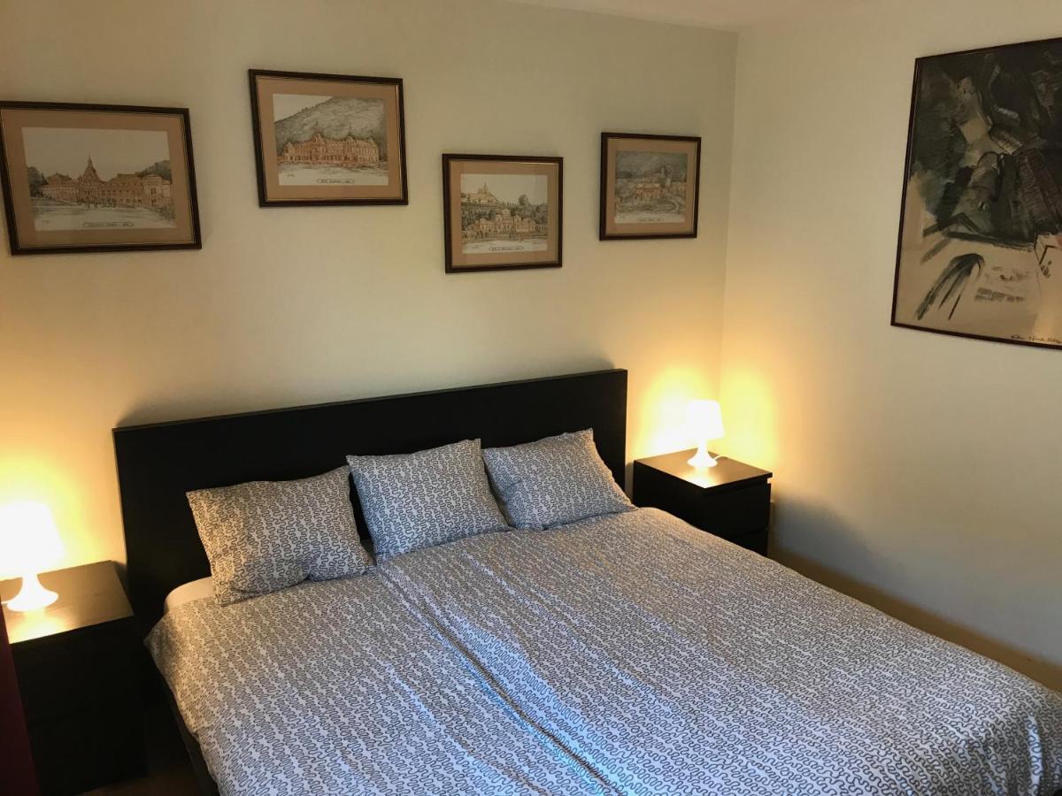 Lovely & Cozy Apartment Sinaia Esterno foto
