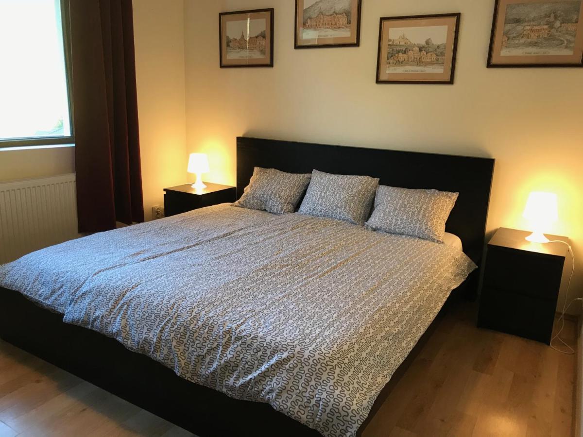 Lovely & Cozy Apartment Sinaia Esterno foto