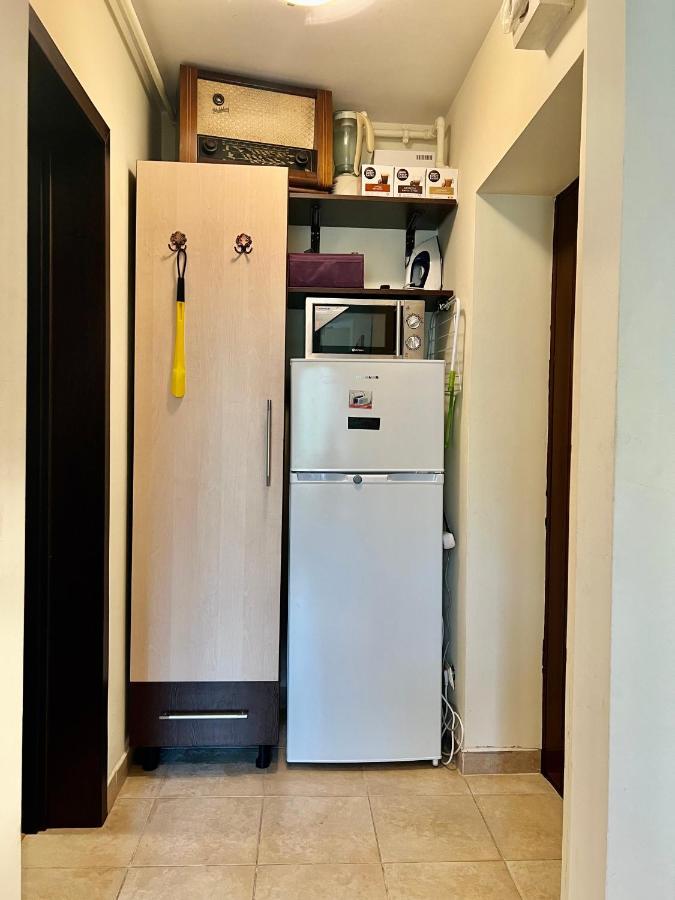 Lovely & Cozy Apartment Sinaia Esterno foto